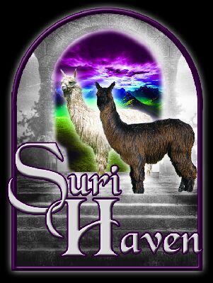 Suri Haven Logo